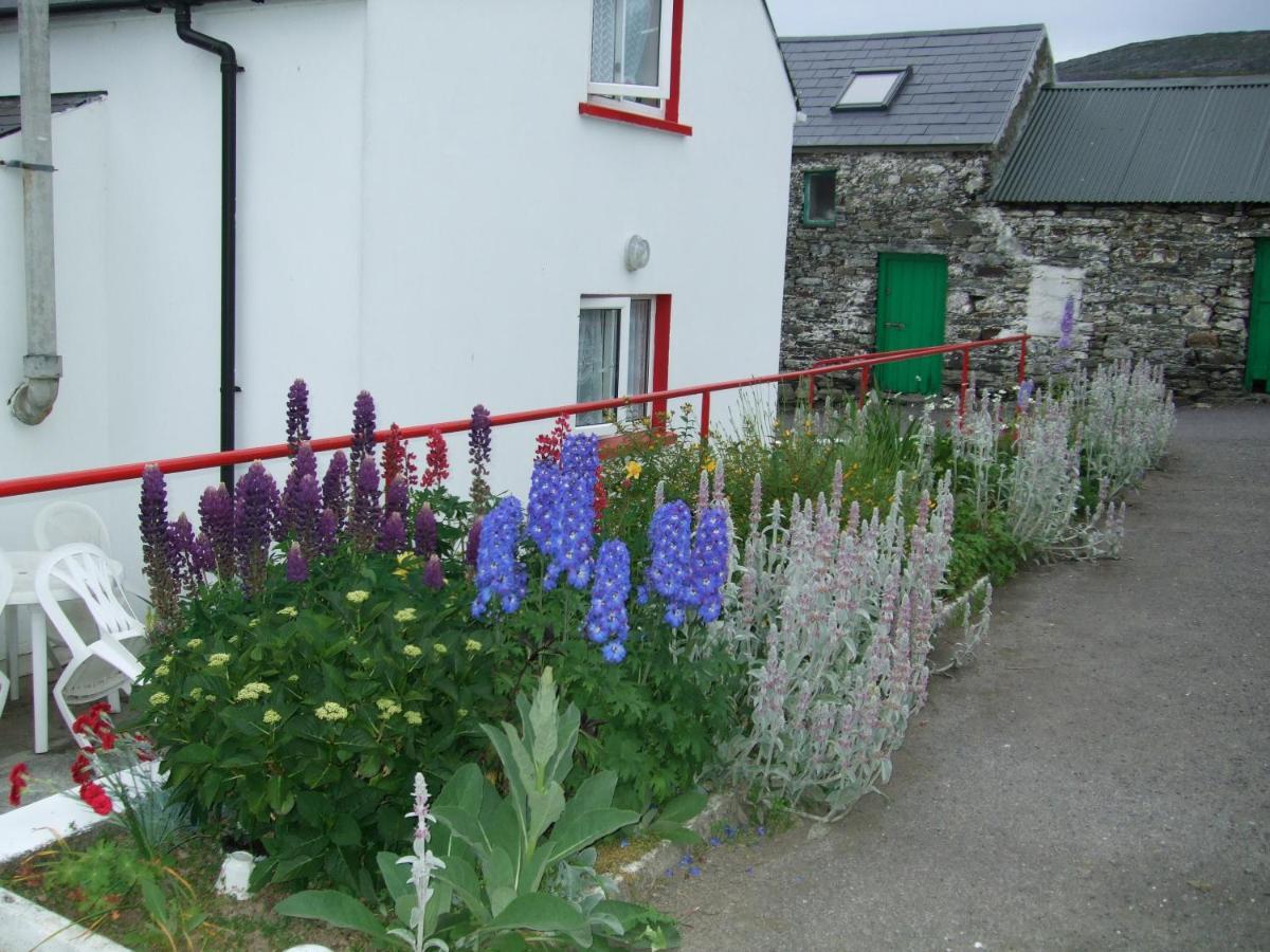 Reenmore Farmhouse Ahakista Exterior foto