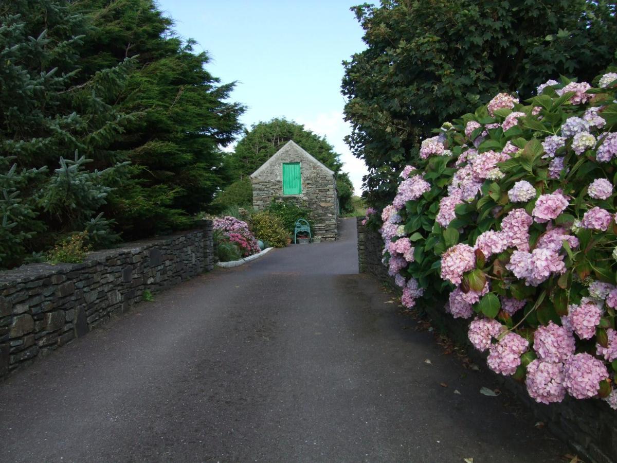 Reenmore Farmhouse Ahakista Exterior foto